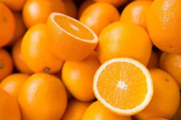 خرید و فروش پرتقال تامسون شمال با شرایط فوق العاده
